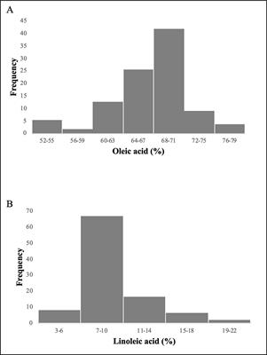 Association Study of the 5′UTR Intron of the FAD2-2 Gene With Oleic and Linoleic Acid Content in Olea europaea L.